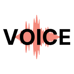 Voice Project Training Platform